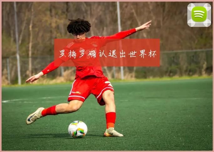 罗梅罗确认退出世界杯