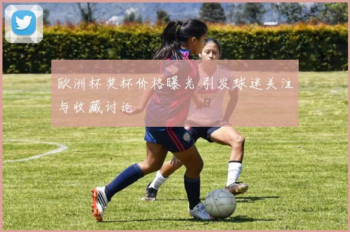 欧洲杯奖杯价格曝光 引发球迷关注与收藏讨论
