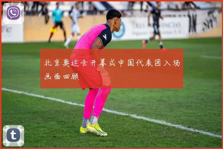 北京奥运会开幕式中国代表团入场画面回顾