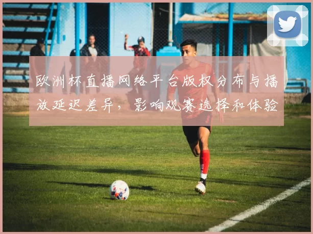 欧洲杯直播网络平台版权分布与播放延迟差异,影响观赛选择和体验