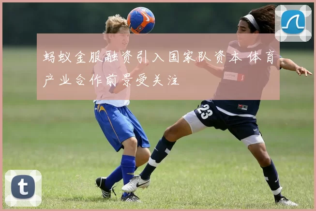 蚂蚁金服融资引入国家队资本 体育产业合作前景受关注