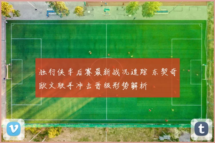 独行侠季后赛最新战况追踪 东契奇欧文联手冲击晋级形势解析