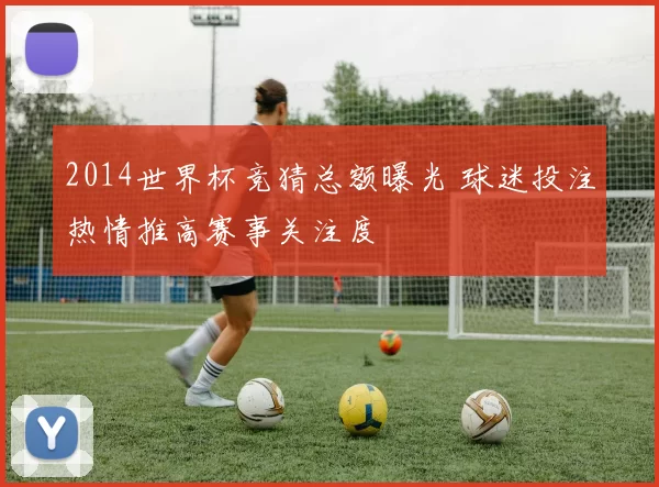 2014世界杯竞猜总额曝光 球迷投注热情推高赛事关注度